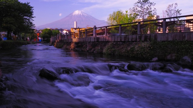 湧玉池の神田川と富士山