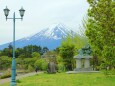 新緑の河口湖