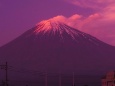 世界遺産センターから望む富士山