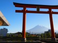 世界遺産センターから望む富士山