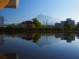 世界遺産センターから望む富士山