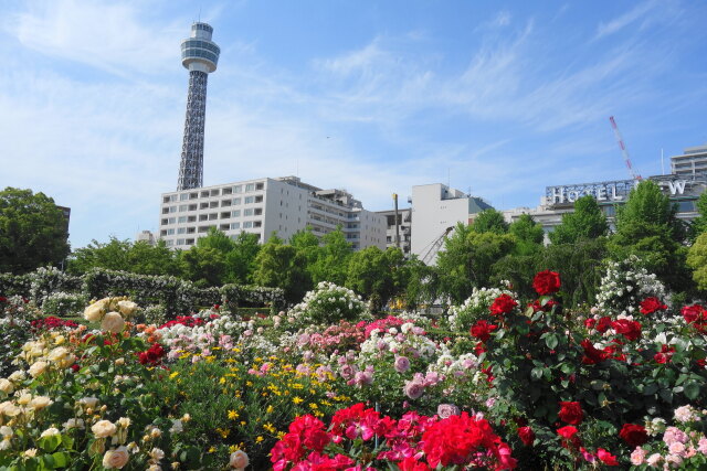 五月の山下公園