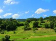 新緑の里山