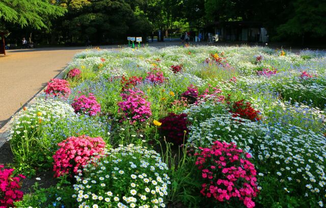 京都府立植物園