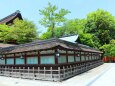 新緑の八坂神社