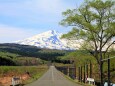 鳥海山と一本道