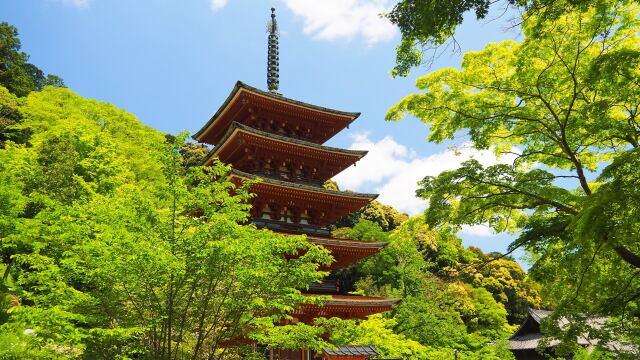 春の奈良長谷寺