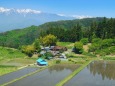 初夏の山村／中央アルプス