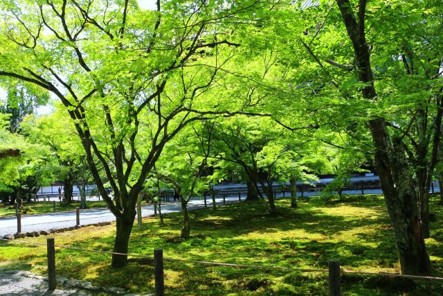 初夏の南禅寺