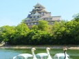 初夏の岡山城