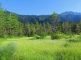 初夏の上高地