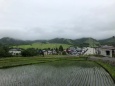 梅雨の栂池