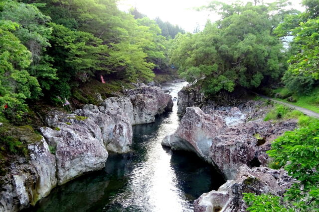 若葉の緑 猿飛甌穴峡