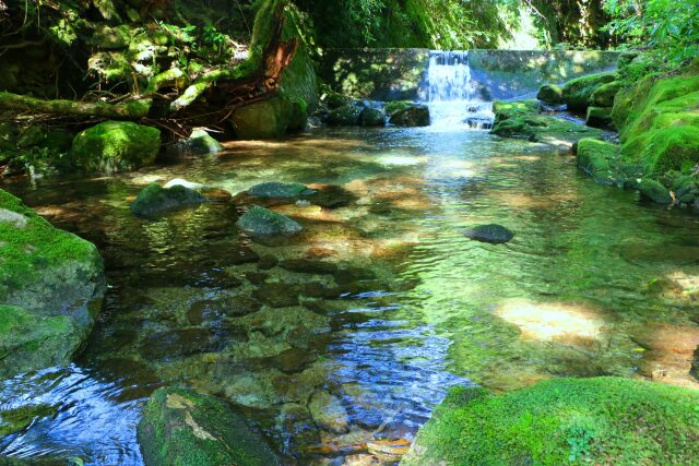 夏の清流