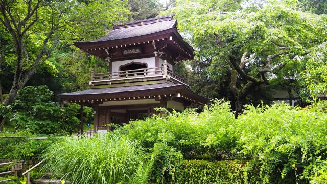 初夏の浄智寺