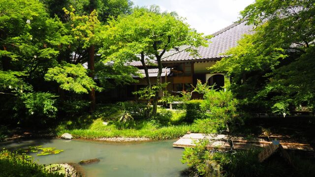初夏の明月院