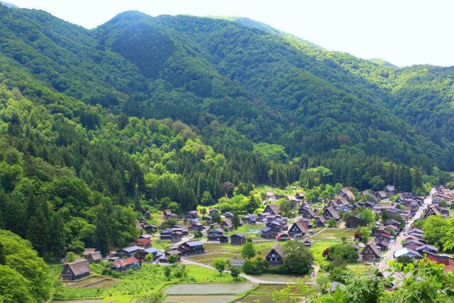 夏の白川郷