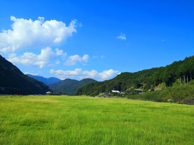 夏の里山