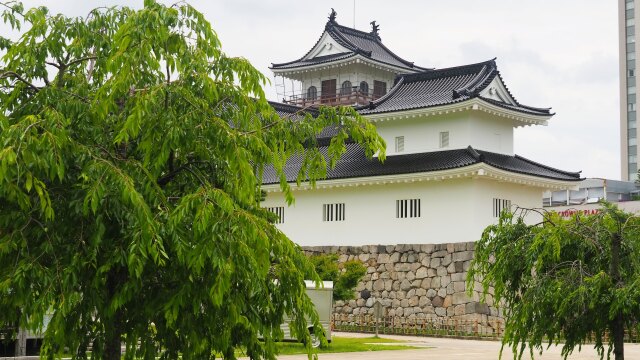 初夏の富山城址公園