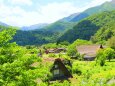 夏の白川郷