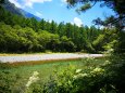 夏の水辺