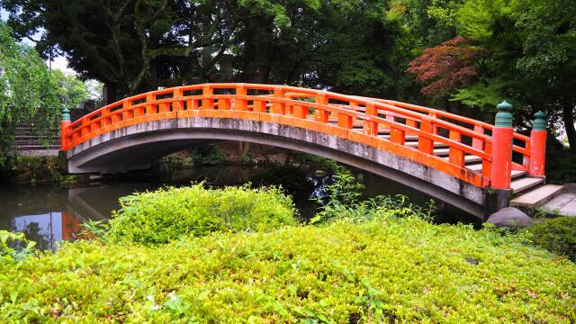 夏の富山城址公園