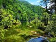 夏の明神池