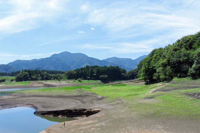大山池 夏 2