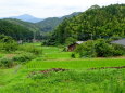 梅雨明けを待っている静かな山村