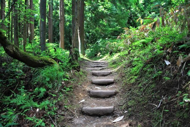 涼しい木陰の小径