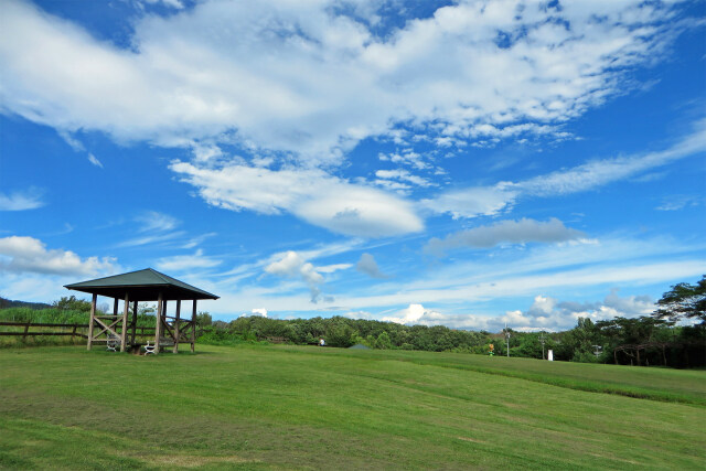 高原の夏空 8