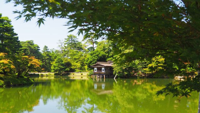 夏の兼六園