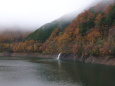 秋のダム湖