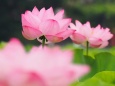 RndList[3]