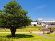 夏の金沢城公園