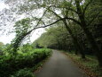 いなべ市水辺の里公園