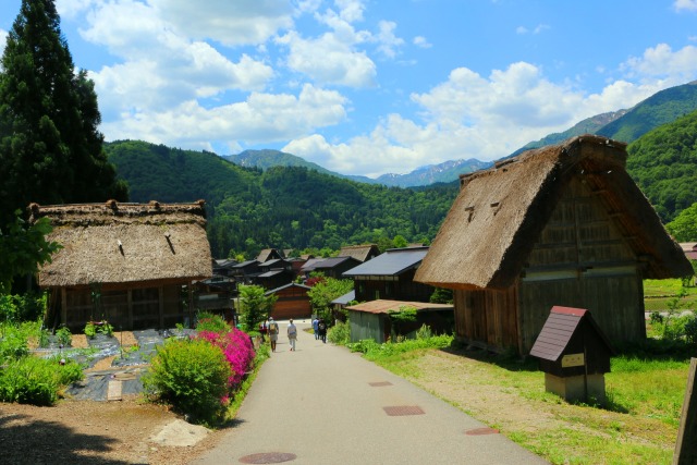 夏の白川郷