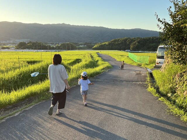 夏の思い出