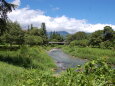 夏草や 兵どもが 白馬村 2023年