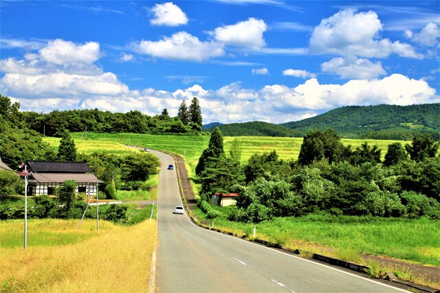 のどかな一本道