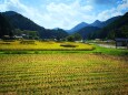 初秋の里山