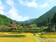 初秋の里山