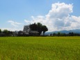 砺波の田園風景