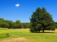 夏の昭和記念公園