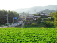 県道が通る晩夏の里