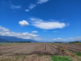 夏終盤を向かえた青空