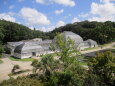 東山動植物園温室