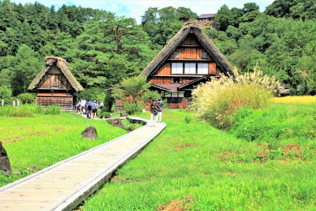 秋の白川郷