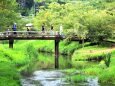 秋の忍野村