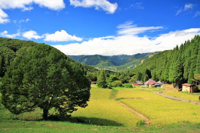 青鬼集落秋景色